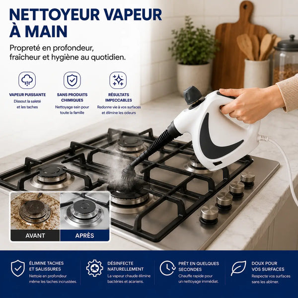 Nettoyeur vapeur main